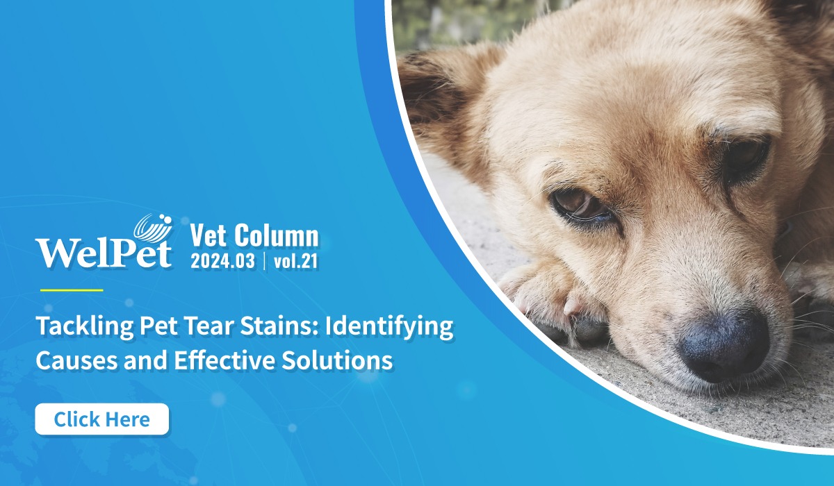  Welpet:Tackling Pet Tear Stains: Identifying Caus