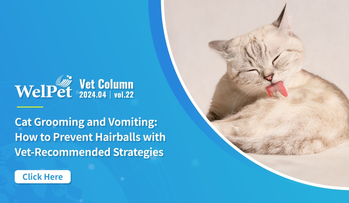  Welpet:Cat Grooming and Vomiting: How to Prevent 