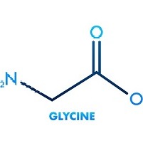  Glycine