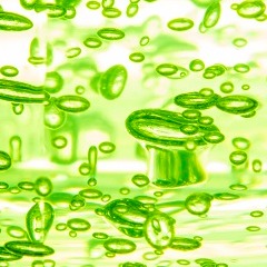  Microalgae Essence