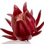  Roselle Extract