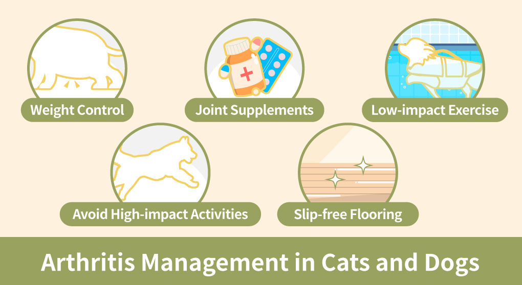 Arthritis Management in Cats and Dogs