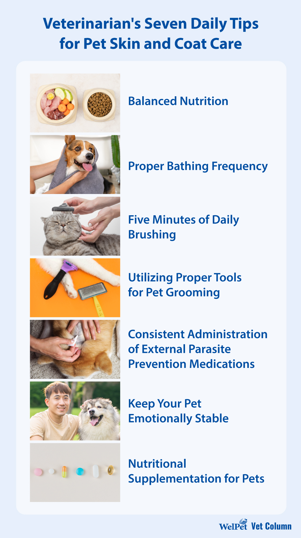 Seven Daily Tips for Pet Skin and Coat Care from a Veterinarian