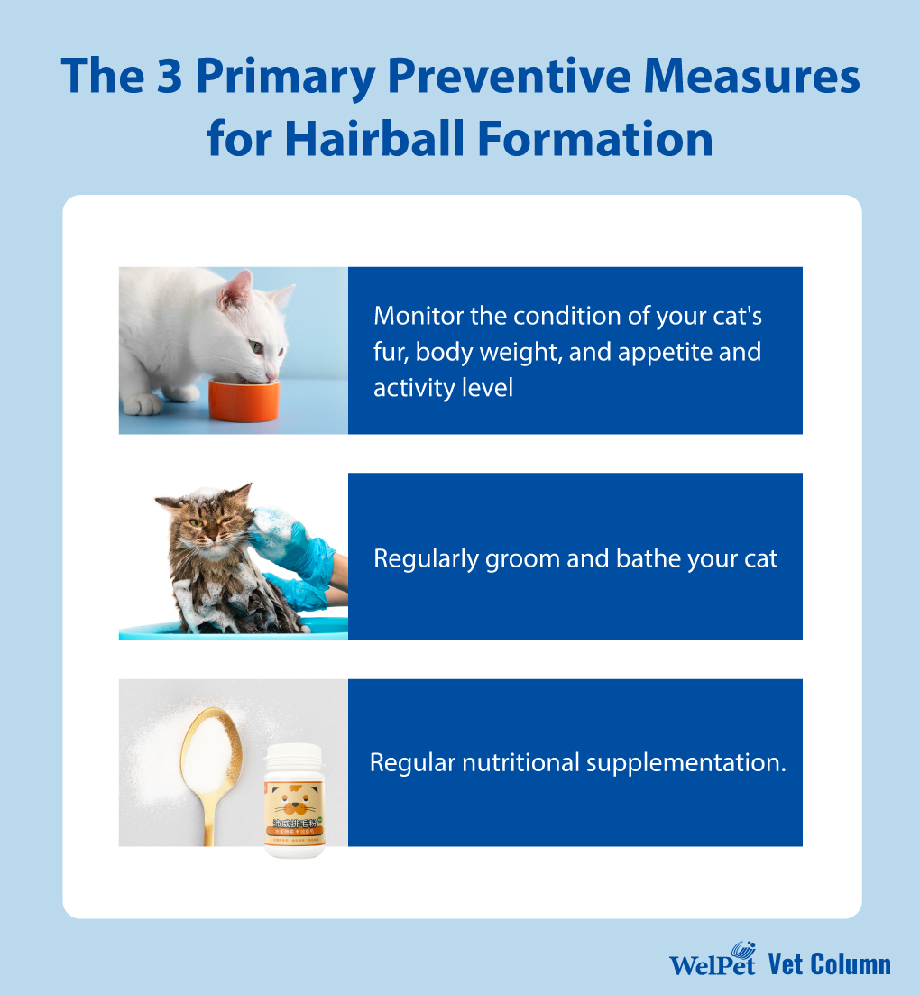 The three primary preventive measures for hairball formation: Cat hair care and nutritional supplements