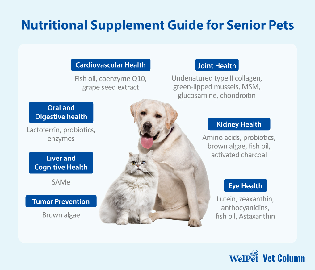 Nutritional Supplement Guide for Senior Pets