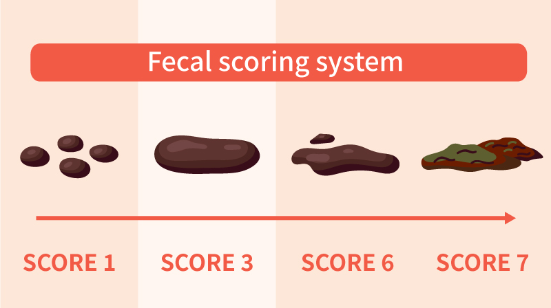 Fecal scoring system