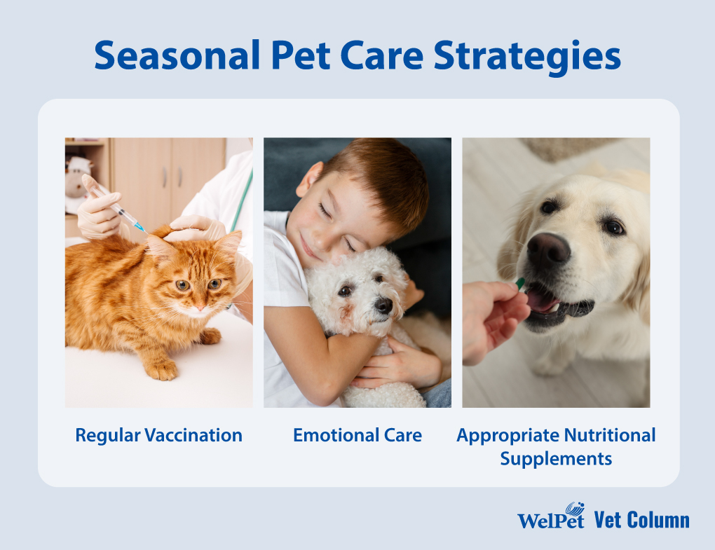Seasonal Pet Care Strategies