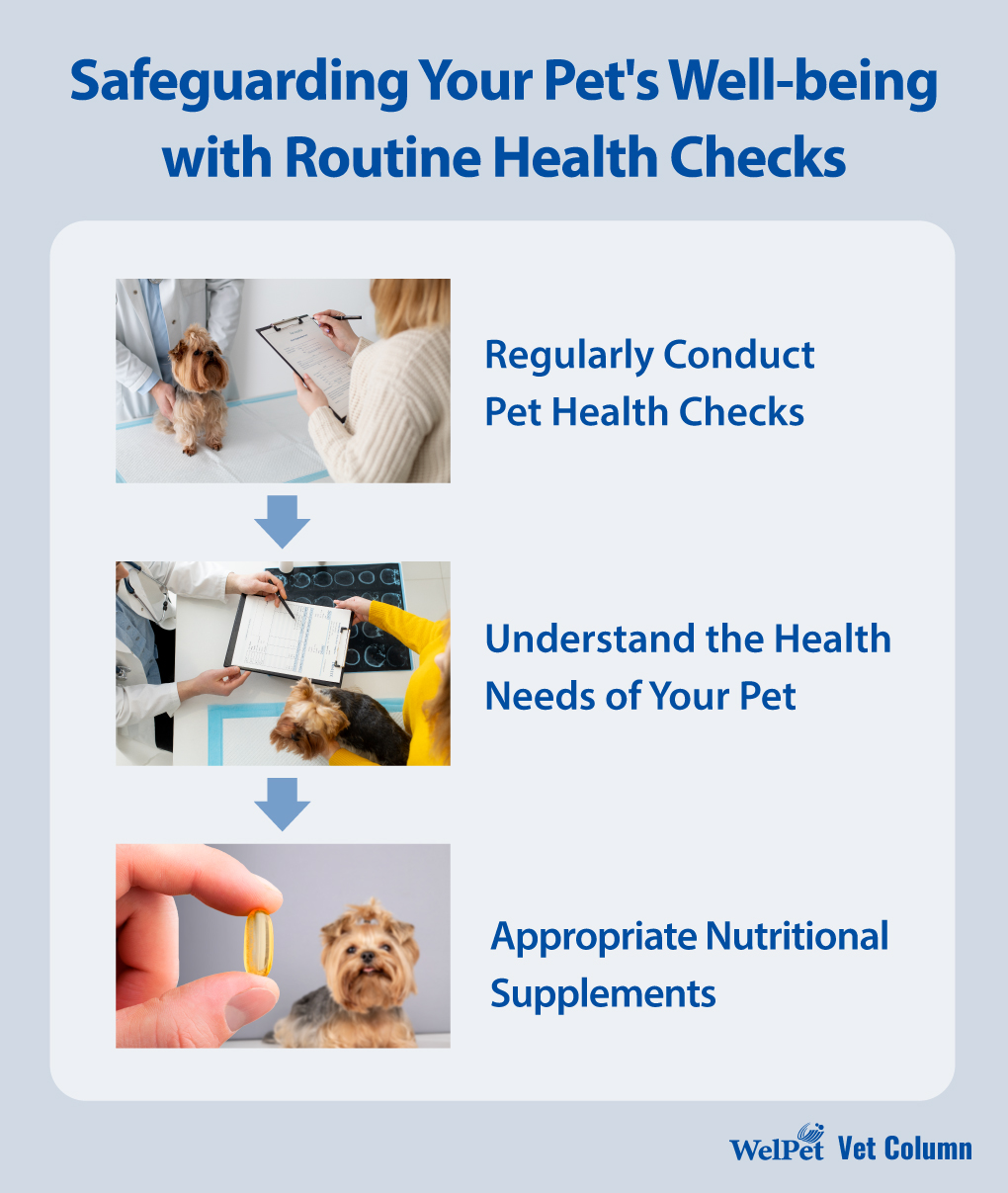 welpet- Safeguarding Your Pet's Well-being with Routine Health Checks