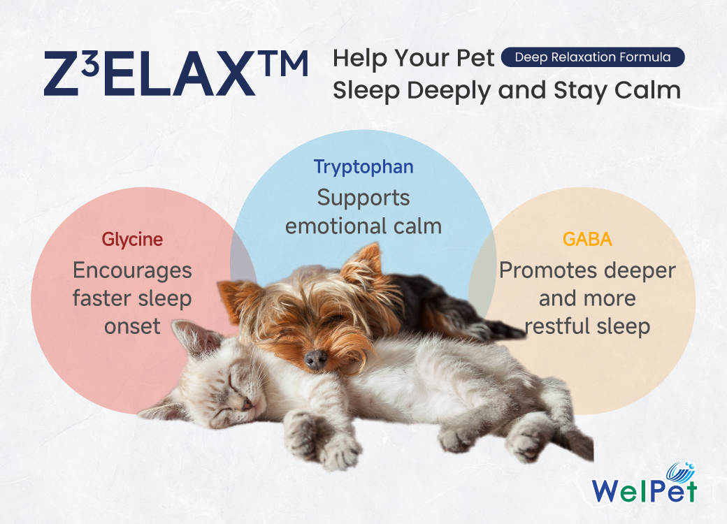Z3ELAX® for stress relief