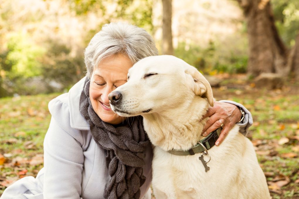 wel-pet Age with Grace: The Definitive Guide to Ensuring Your Seniors Pets’ Health and Happiness